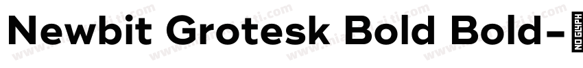 Newbit Grotesk Bold Bold字体转换